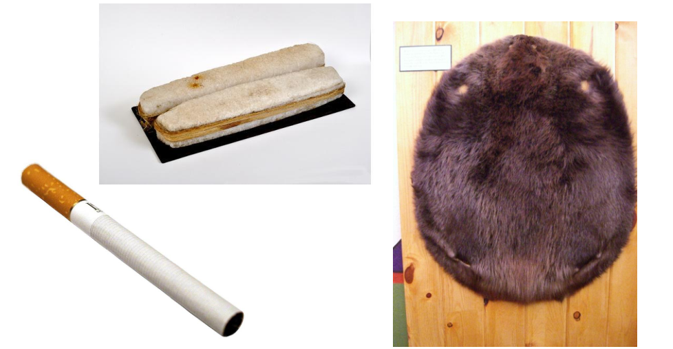 cigarettes, salt blocks, and beaver belts